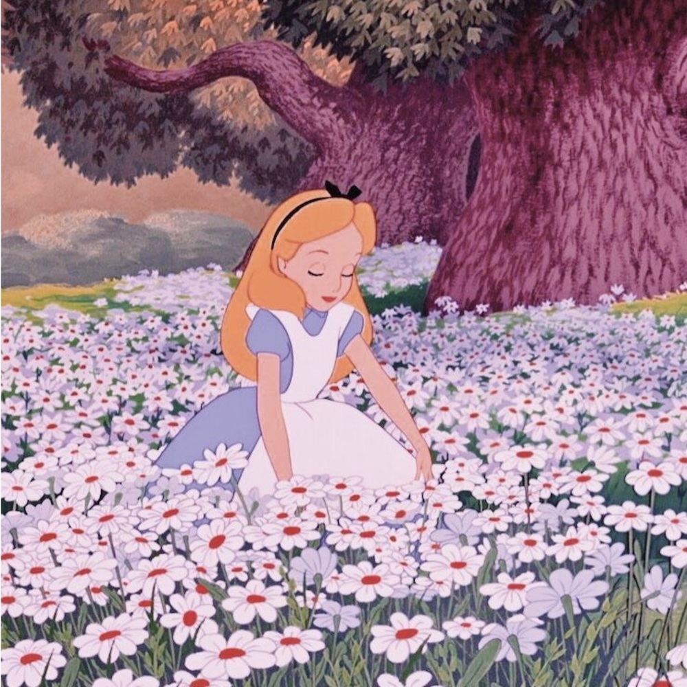 Meet your Posher, Serenity